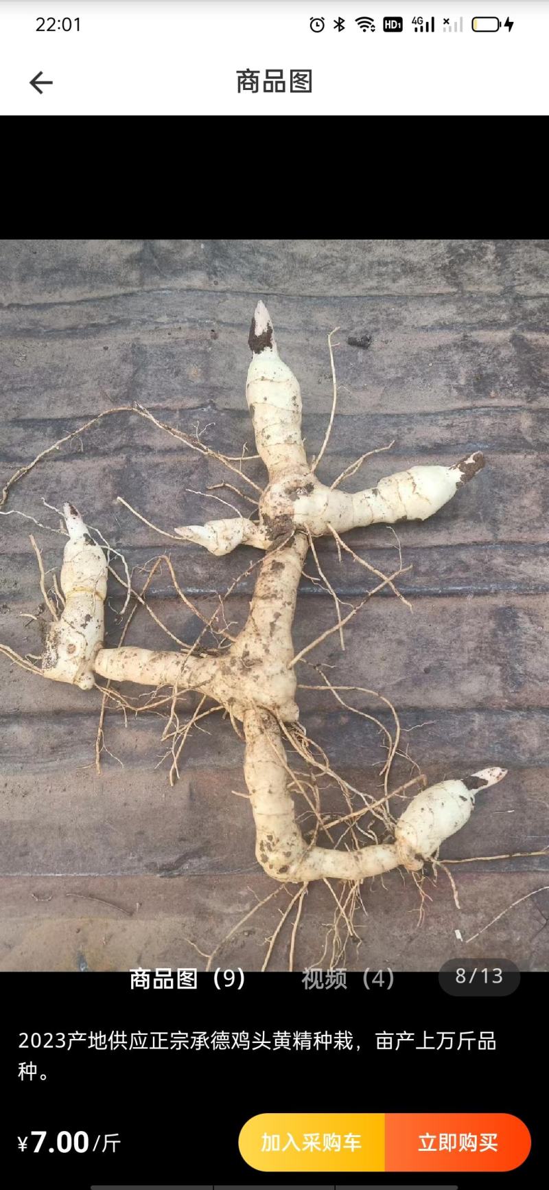 纯东北野生黄精