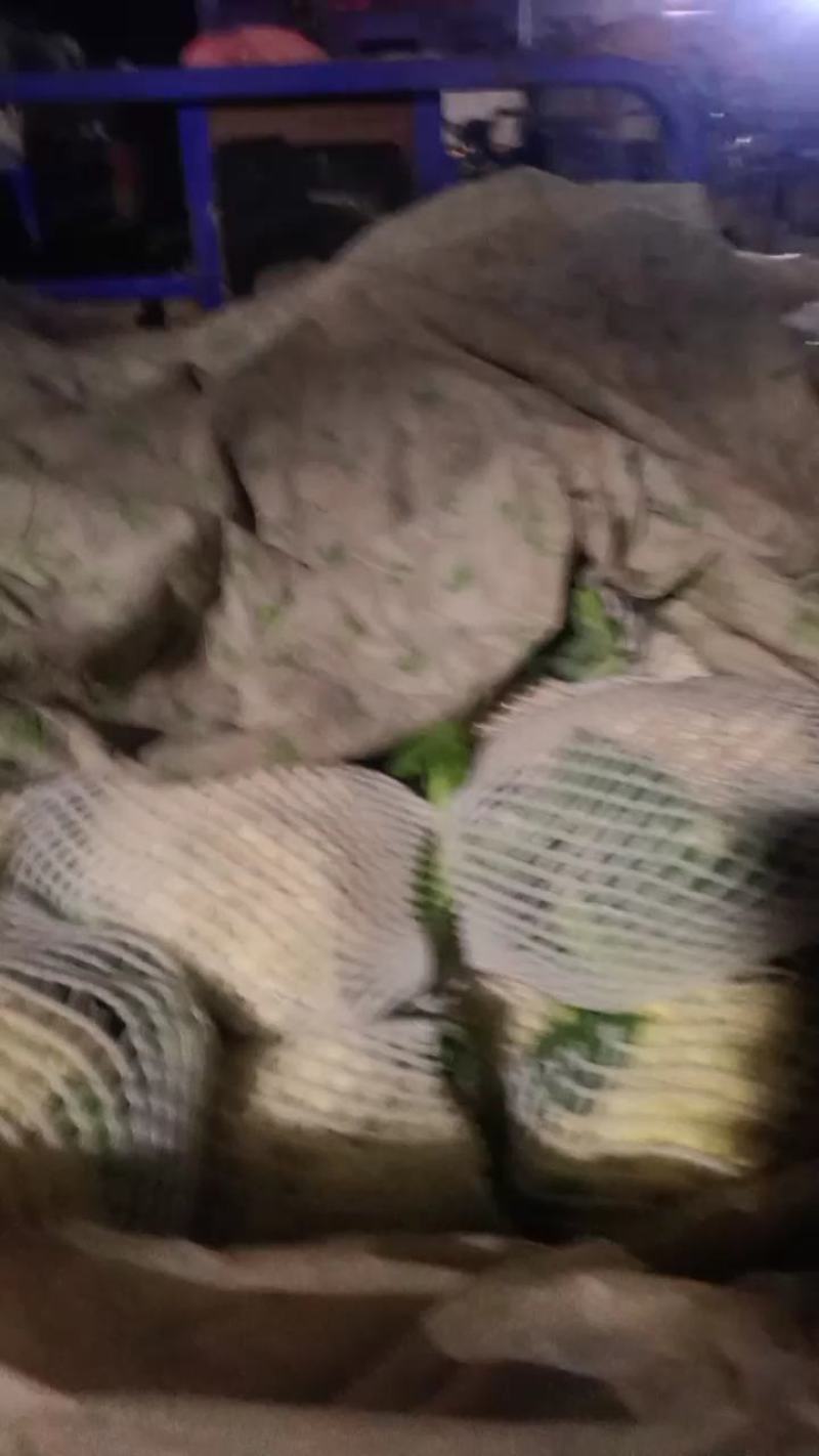 秦皇岛昌黎精品有机花菜大量有货价格美丽