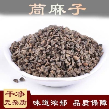 批发供应中药材苘麻子茼麻子青麻子麻果子麻