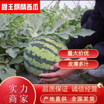 河南无籽麒麟西瓜，头茬品质保基地直供一手货源诚信经营