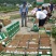 中国特产苍溪翠冠梨大量出货味道细腻皮薄肉嫩化渣
