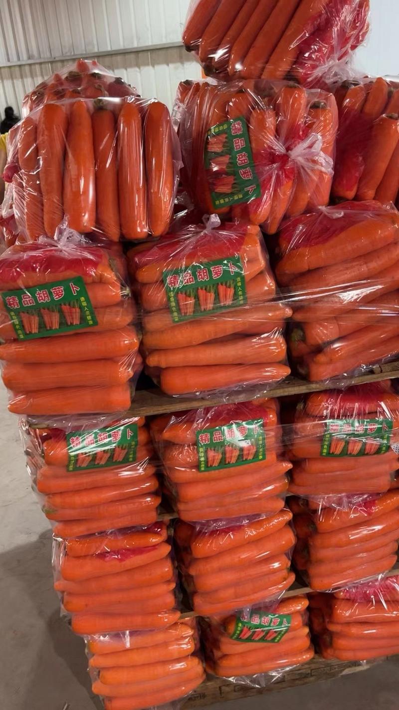 （实）三红胡萝卜大量出电商水洗自家基地价格优惠一手货源
