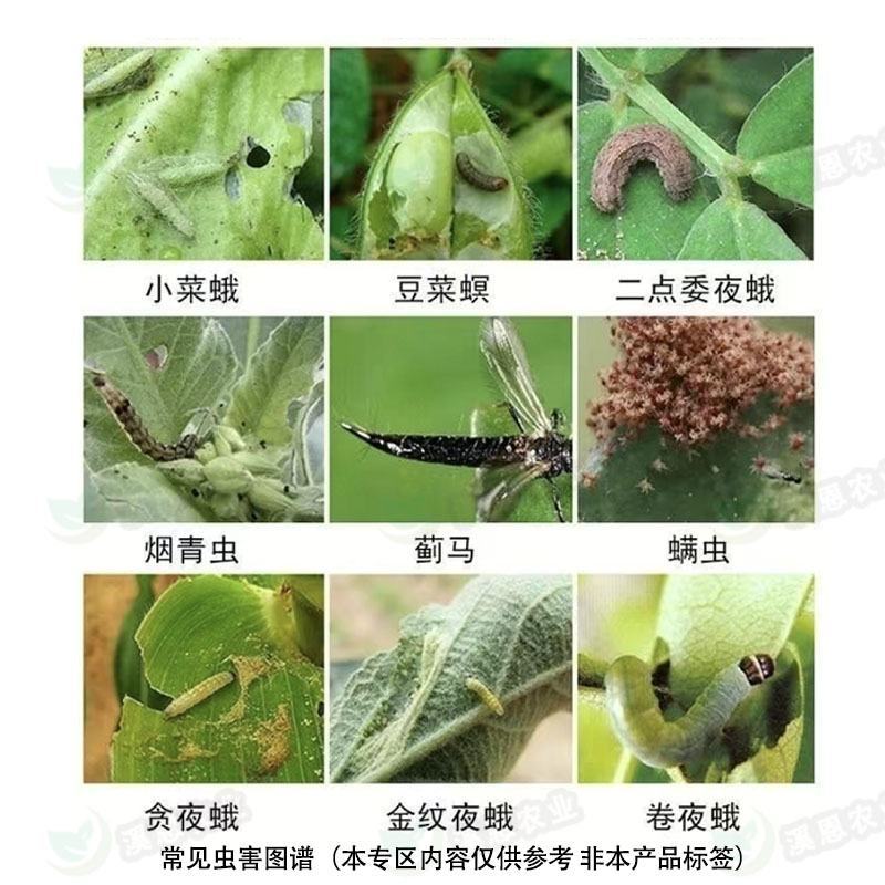 虫螨腈虱螨脲二合一杀虫杀蟎高效甜菜夜蛾青虫贪夜蛾虫卵双杀