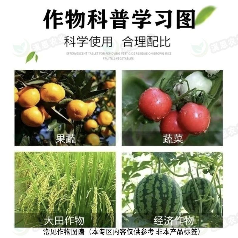 虫螨腈虱螨脲二合一杀虫杀蟎高效甜菜夜蛾青虫贪夜蛾虫卵双杀