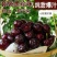 [精品车厘子]汉源黑珍珠樱桃大量上市各种规格欢迎来电