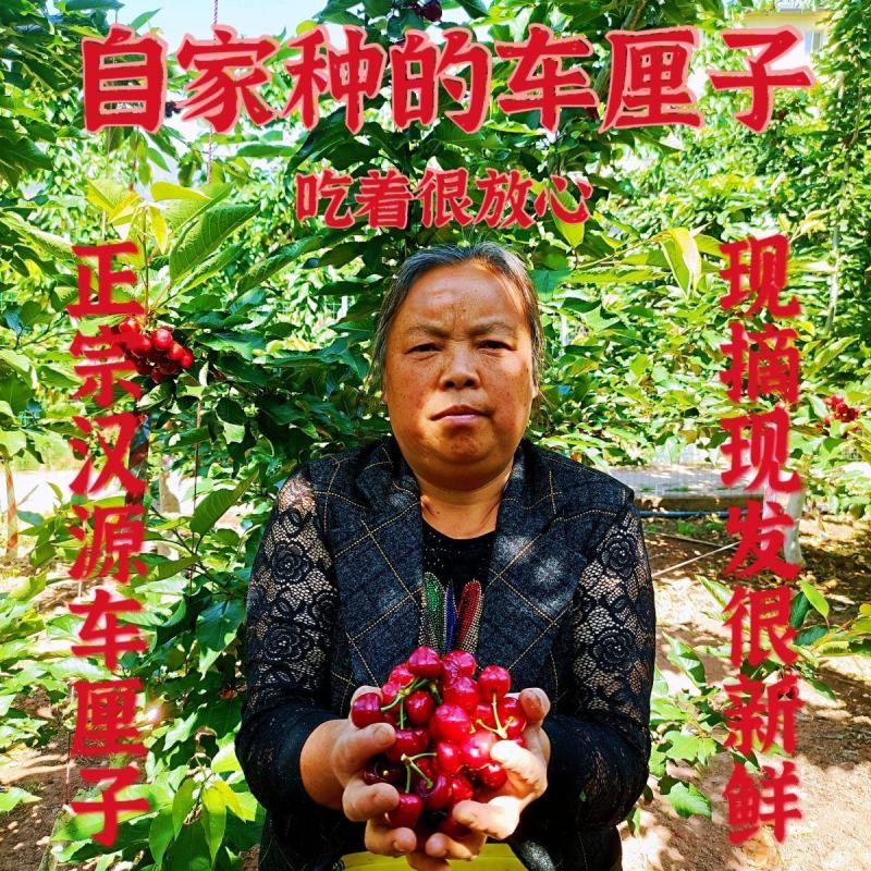 [精品车厘子]汉源黑珍珠樱桃大量上市各种规格欢迎来电