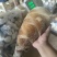 思茅甜竹笋