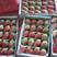 四季草莓烘焙草莓用于蛋糕房果酱糖葫芦饮品店果汁厂等基地直