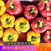 甜椒寿光黄彩椒实力收货供应超市档口食堂