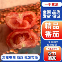 寿光硬粉沙瓤西红柿，品质可靠，诚信服务，量大价优