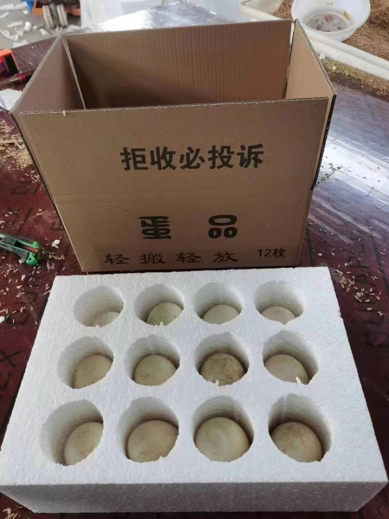 【推荐】精品鹅蛋盒装鹅蛋笨鹅蛋土鹅蛋一件代发