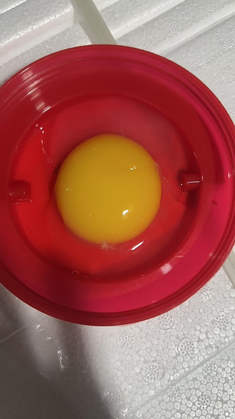 【推荐】精品鹅蛋盒装鹅蛋笨鹅蛋土鹅蛋一件代发