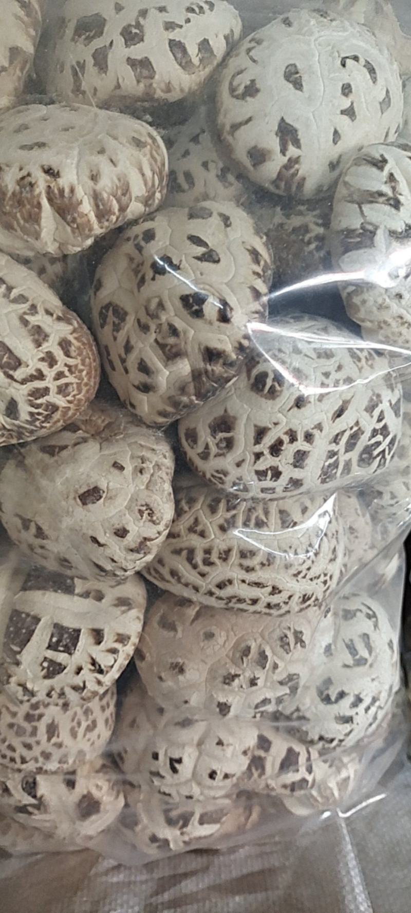 大家好、俺是泌阳胡琴、介绍下、我家特产剪脚冬花菇、规格全