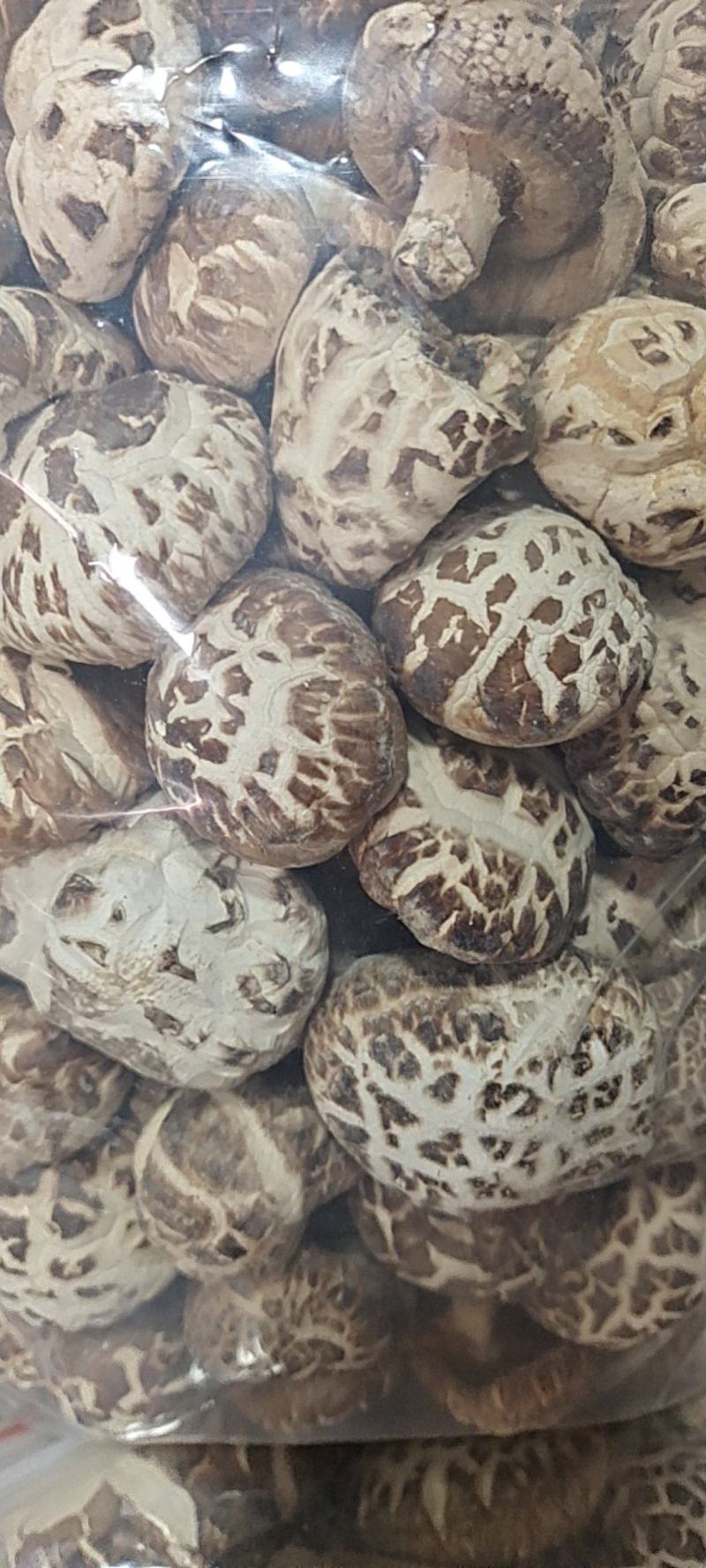 大家好、俺是泌阳胡琴、介绍下、我家特产剪脚冬花菇、规格全