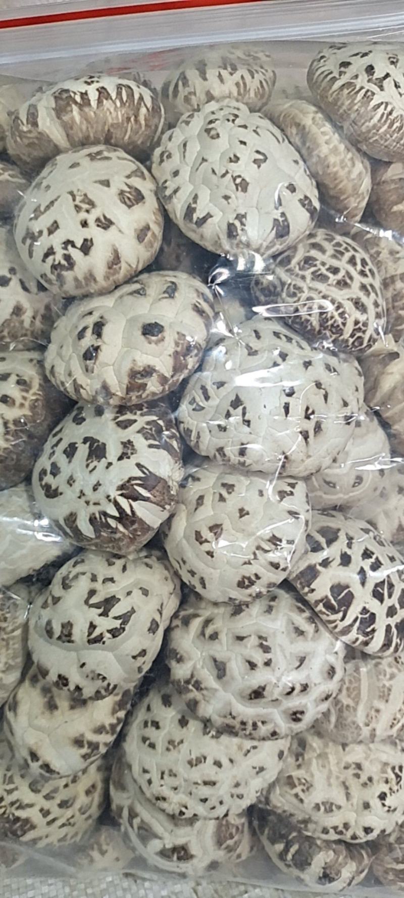 大家好、俺是泌阳胡琴、介绍下、我家特产剪脚冬花菇、规格全