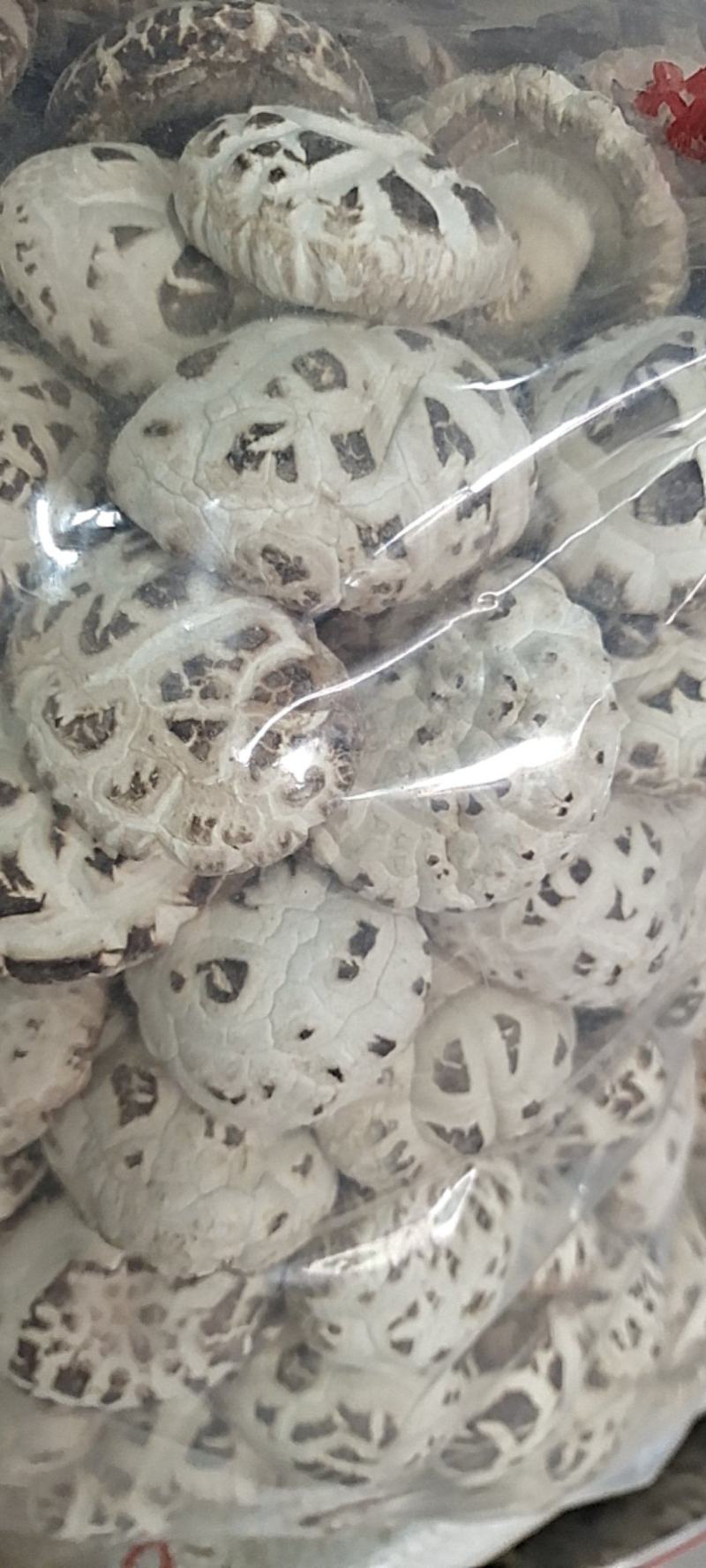 大家好、俺是泌阳胡琴、介绍下、我家特产剪脚冬花菇、规格全