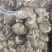 大家好、俺是泌阳胡琴、介绍下、我家特产剪脚冬花菇、规格全