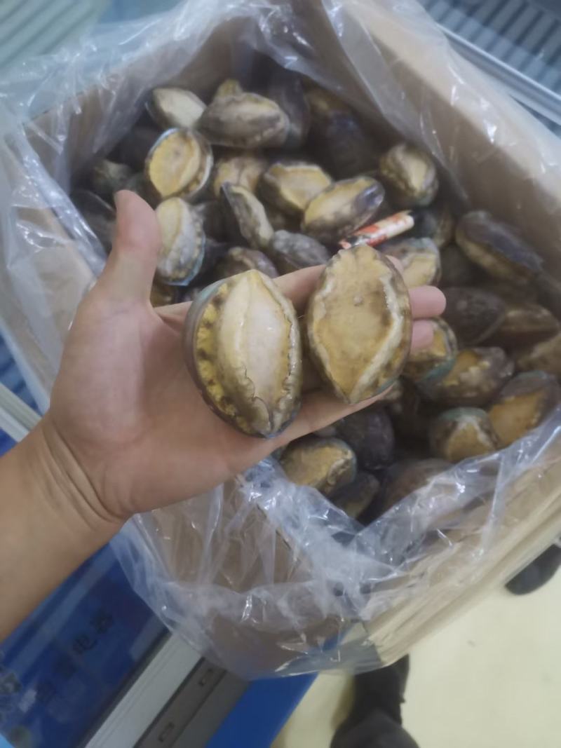 鲜冻活鲍，极速锁鲜，保留实物原本的味道，鲜美