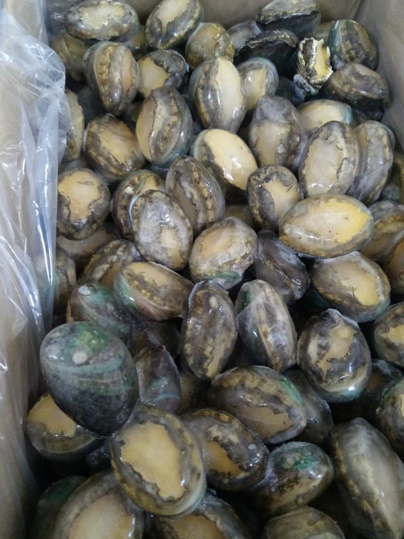 鲜冻活鲍，极速锁鲜，保留实物原本的味道，鲜美