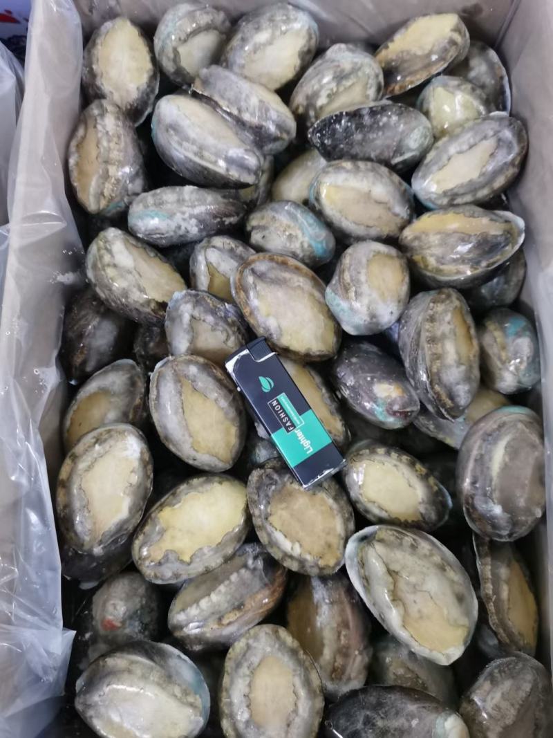 鲜冻活鲍，极速锁鲜，保留实物原本的味道，鲜美