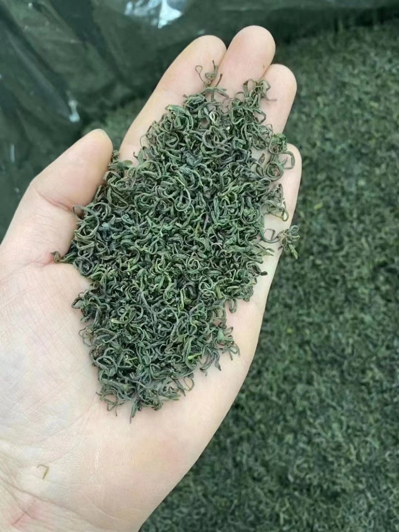 碧螺春香茶绿茶茶农直销好喝又实惠500克