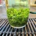 碧螺春香茶绿茶茶农直销好喝又实惠500克