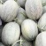 【推荐】山东精品哈密瓜晓蜜25哈密瓜大量上市
