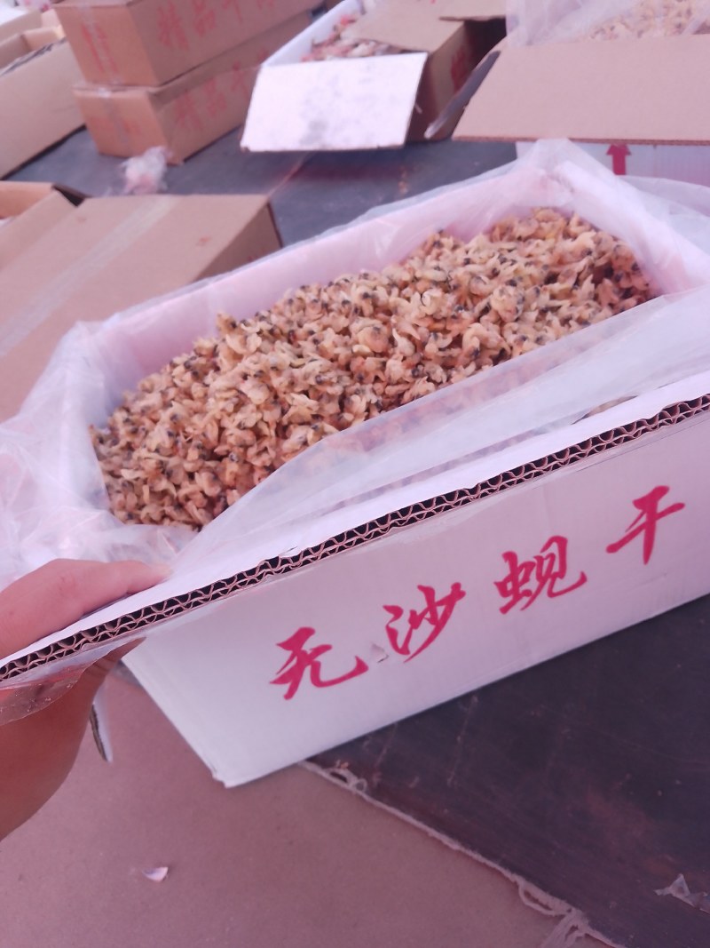 【强力推荐】无沙蚬干蛤蜊肉鲜美可供电商