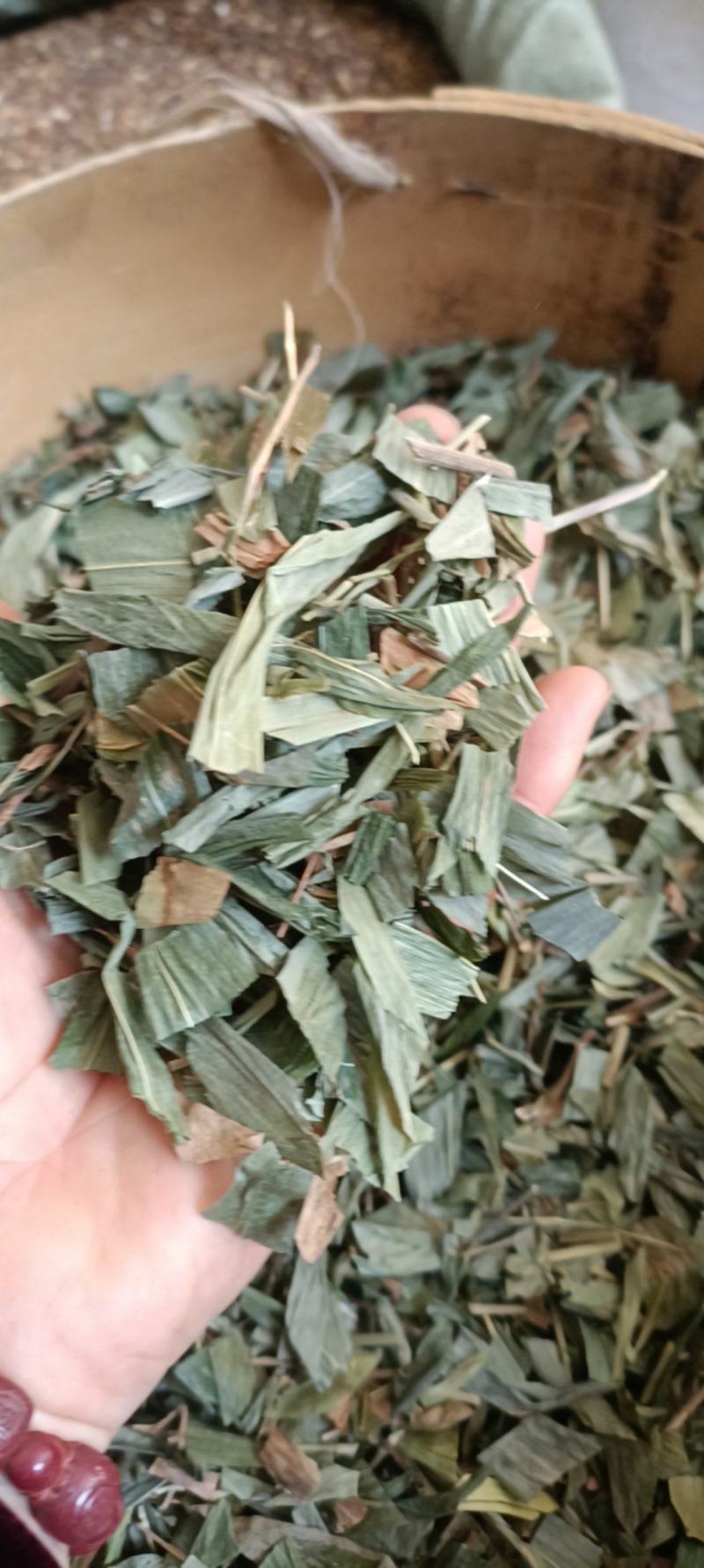 淡竹叶，产地四川，切段过筛新货，色好无杂，支持在线下单