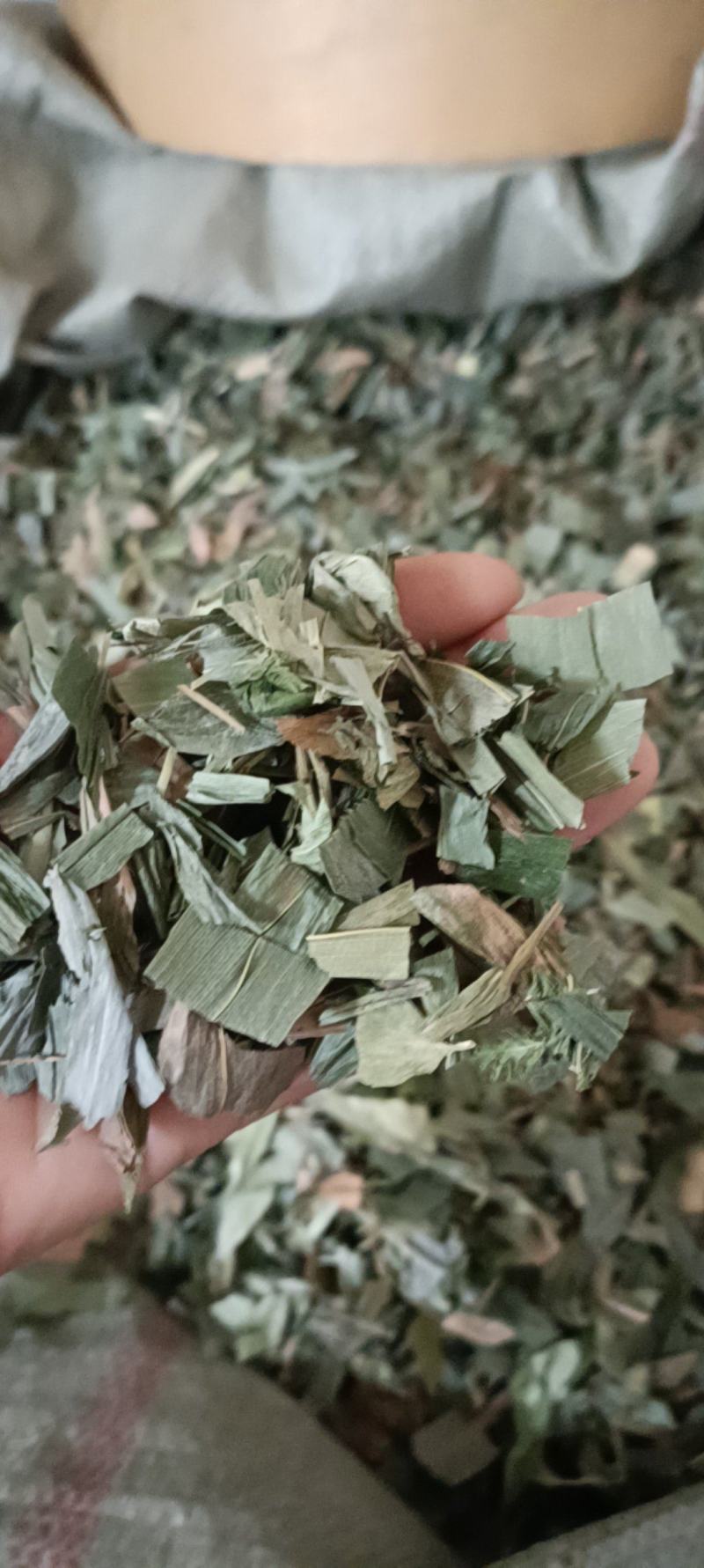 淡竹叶，产地四川，切段过筛新货，色好无杂，支持在线下单
