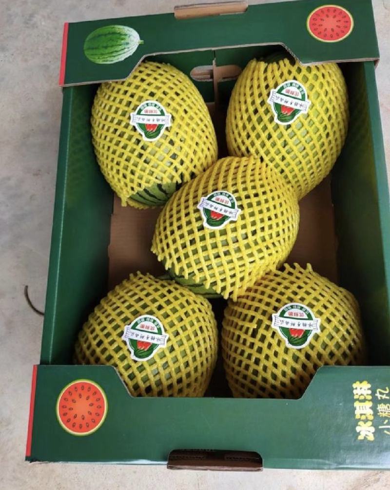 蒲城小糖丸西瓜全美2k西瓜大量供货质量保证供全国商超