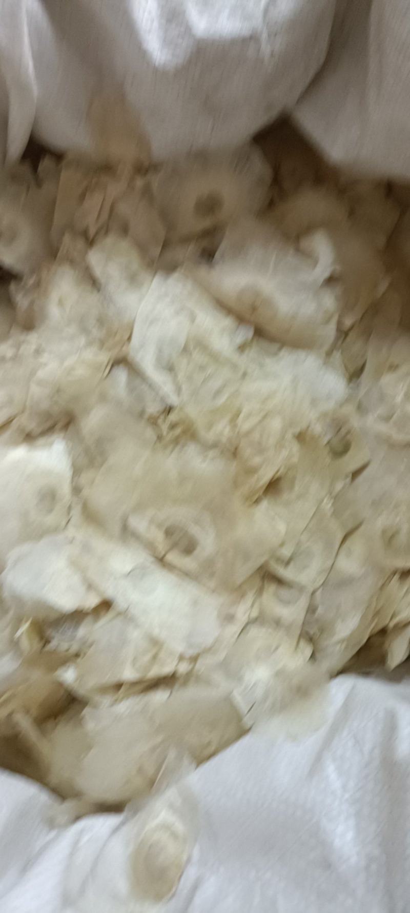 木蝴蝶，道地优质蝴蝶，新货无杂手选，欢迎选购