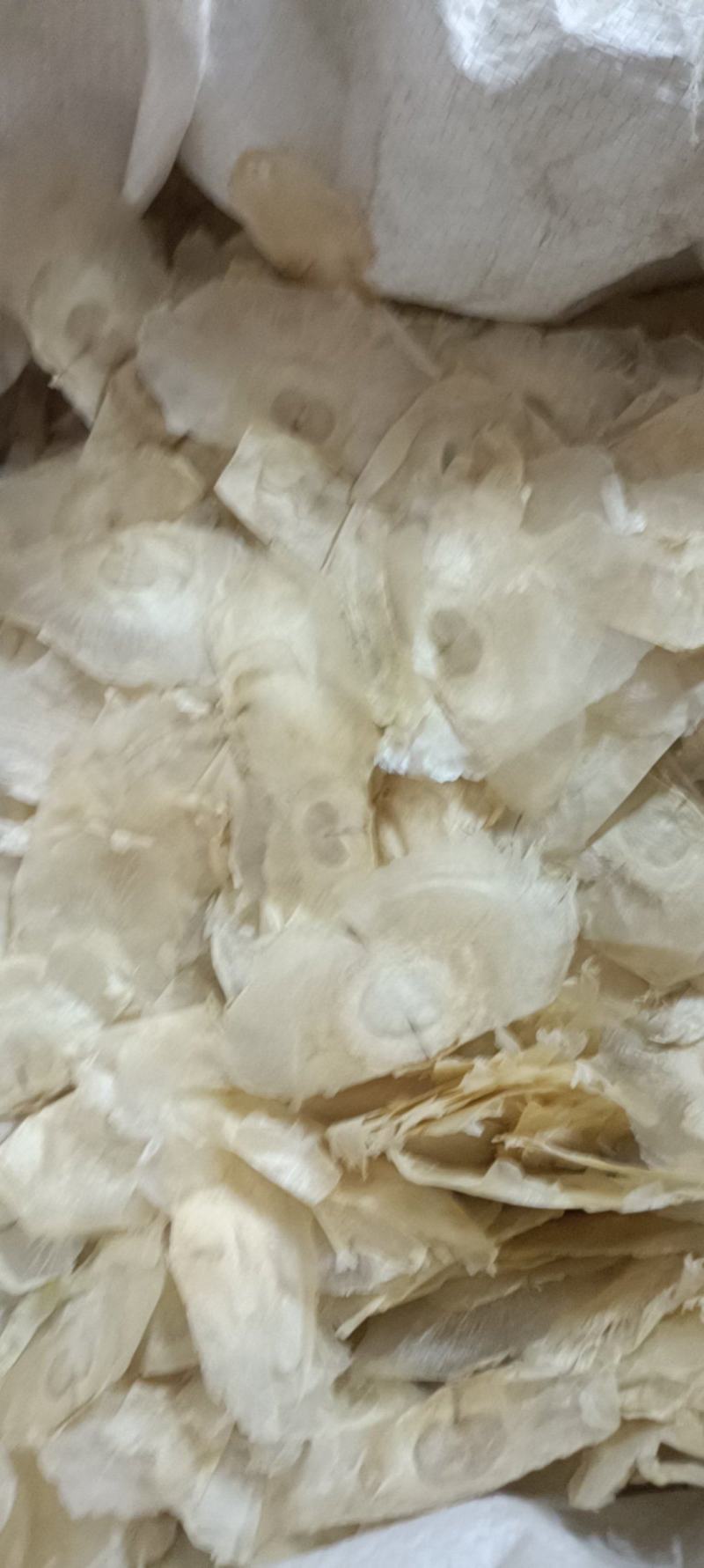 木蝴蝶，道地优质蝴蝶，新货无杂手选，欢迎选购