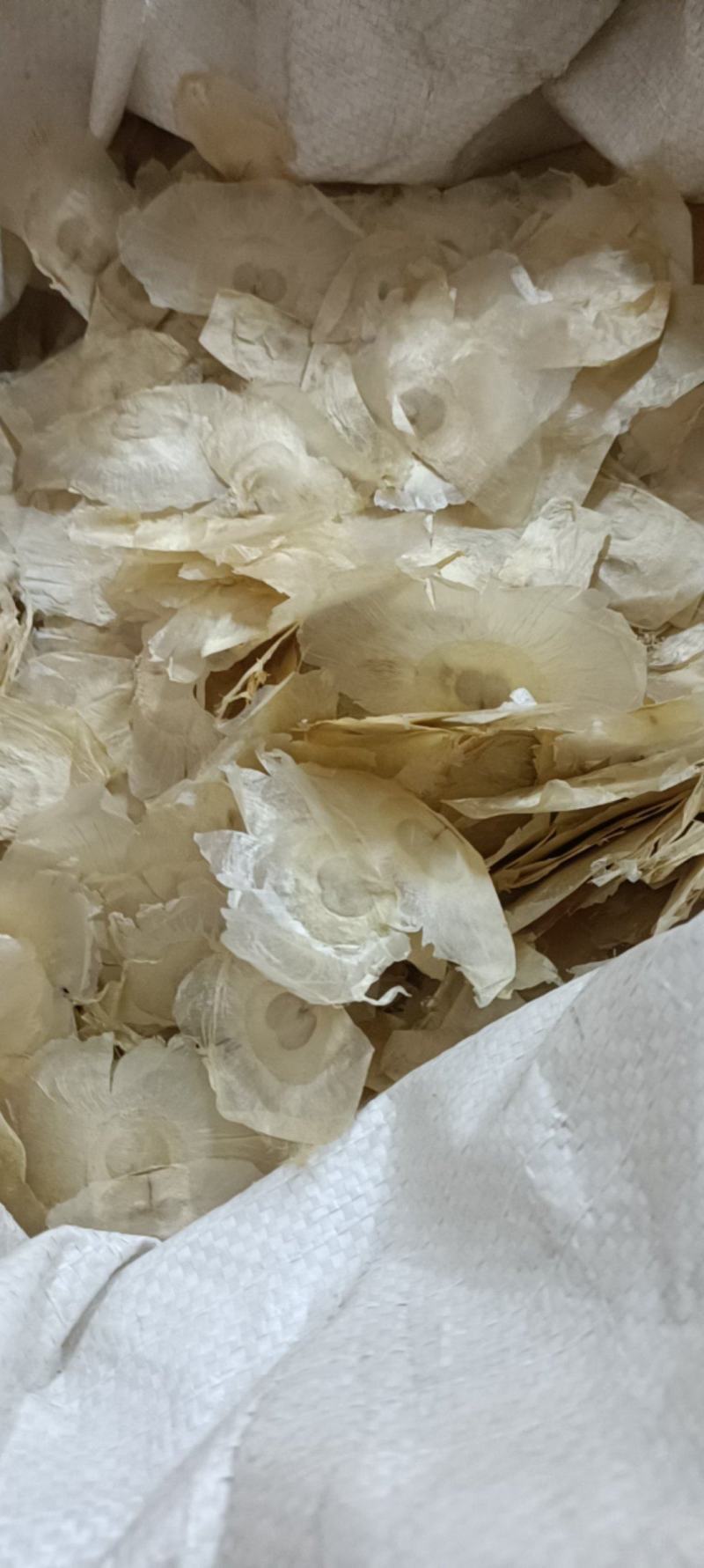 木蝴蝶，道地优质蝴蝶，新货无杂手选，欢迎选购
