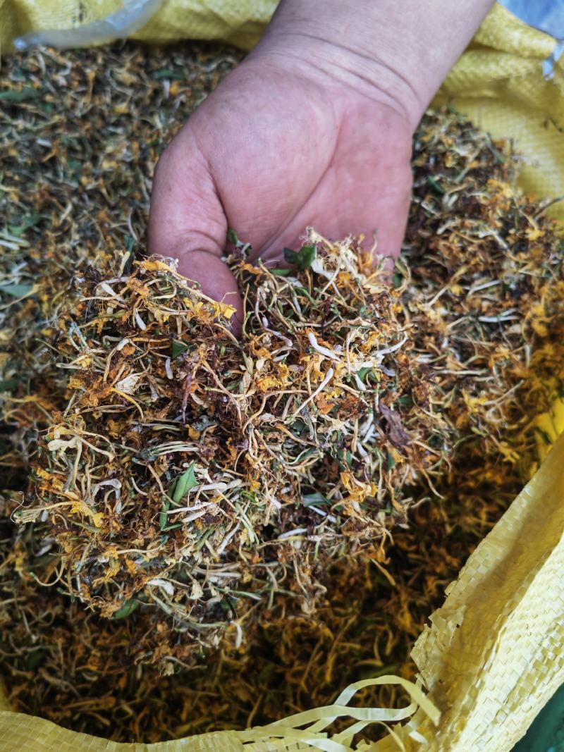 野生金银花大量批发，有全开花，未开花，统货都混着有几种货