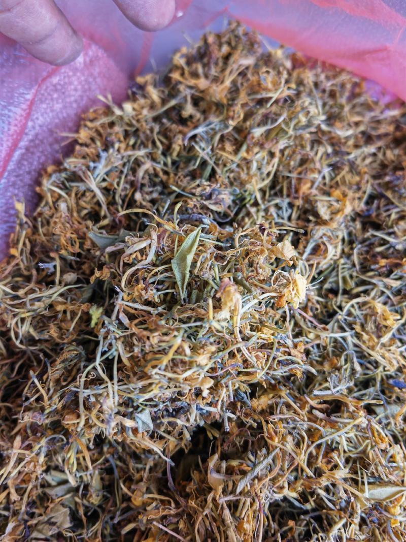 野生金银花大量批发，有全开花，未开花，统货都混着有几种货
