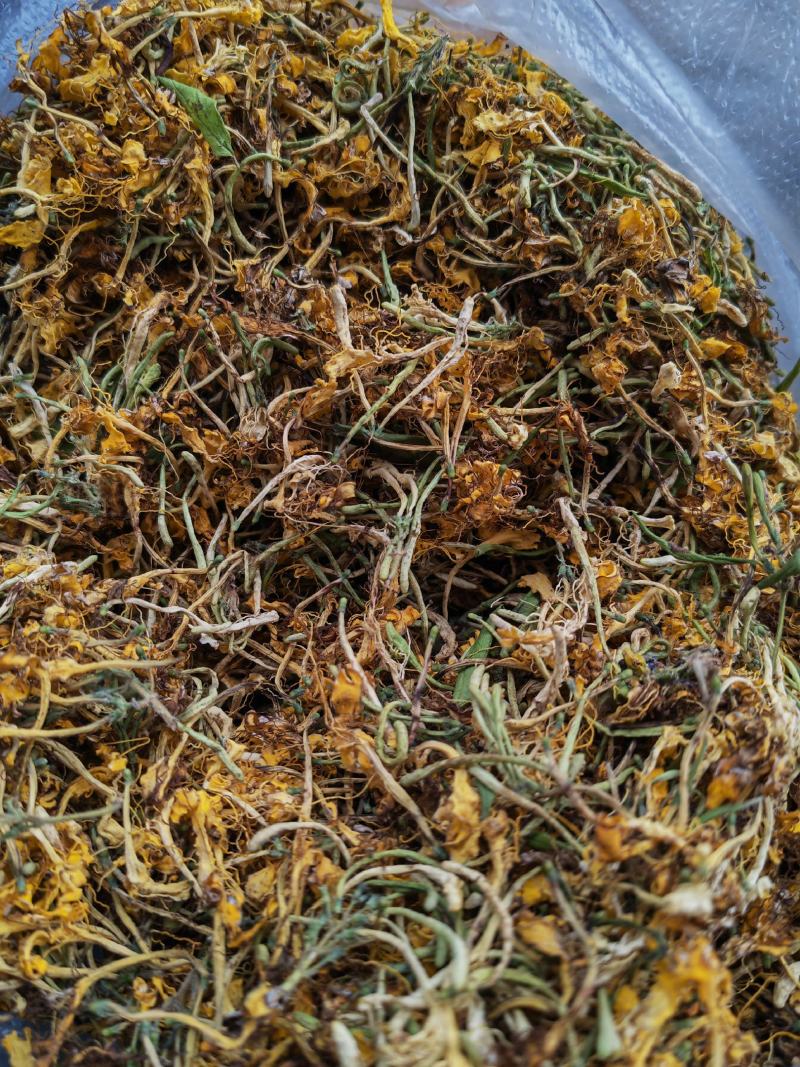 野生金银花大量批发，有全开花，未开花，统货都混着有几种货