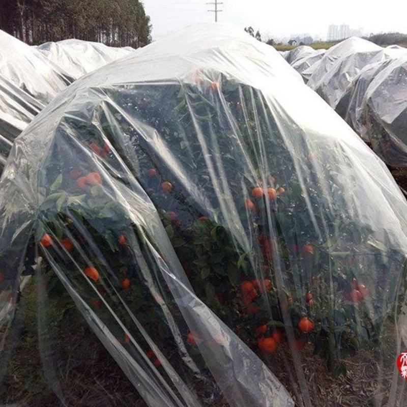 【复购高】农膜塑料薄膜大棚膜葡萄膜金桔防寒膜果树膜