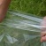 【复购高】农膜塑料薄膜大棚膜葡萄膜金桔防寒膜果树膜