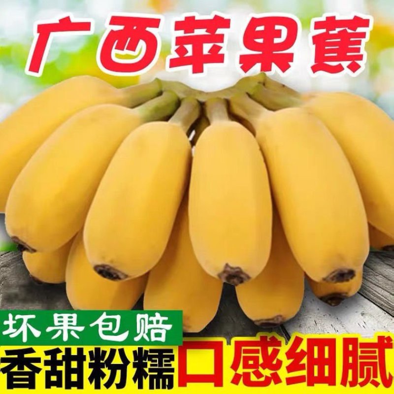 广西苹果蕉农家自种新鲜水果现砍现发一件代发