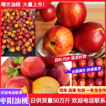【精选】产地油桃货源充足质优价廉欢迎咨询选购