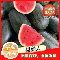 精品黑美人西瓜湖北宜城黑美人西瓜货量充足实力