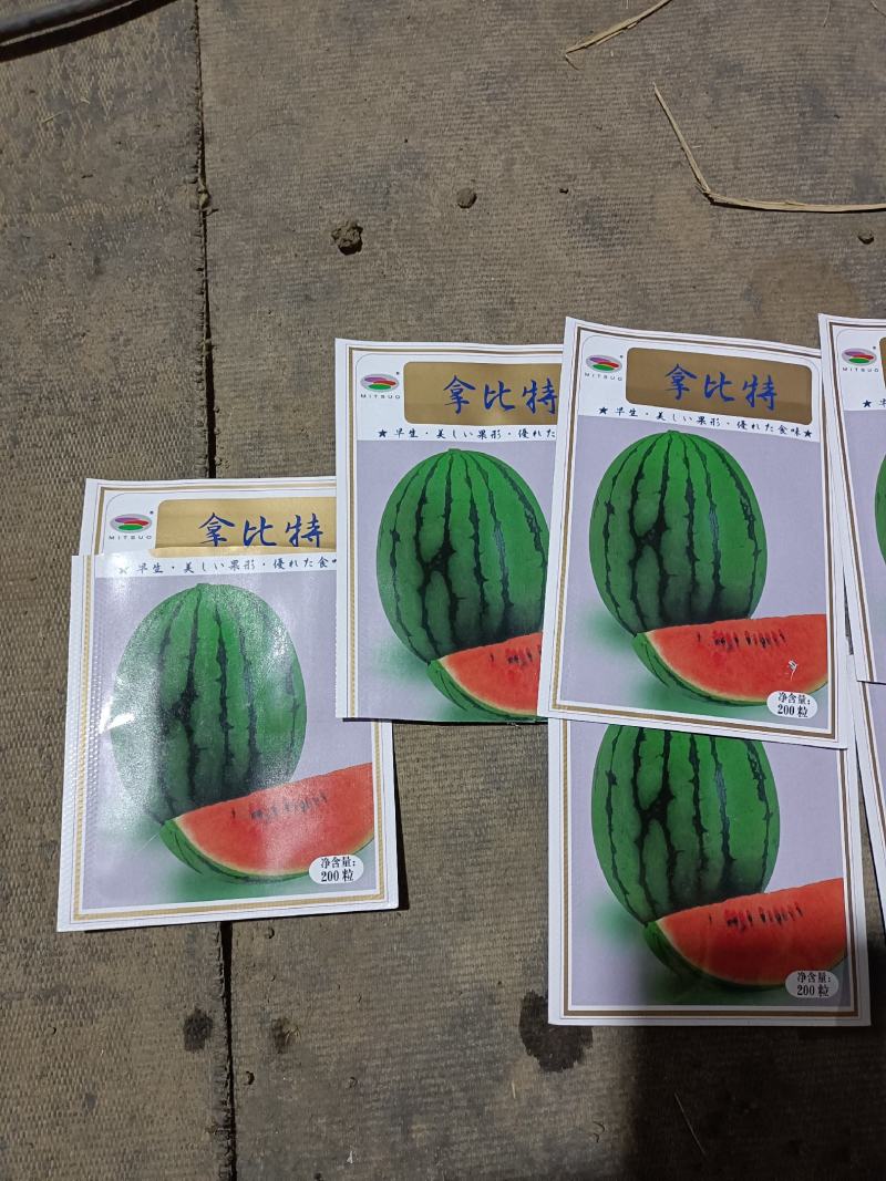 连云港引进日本拿皮特小西瓜
