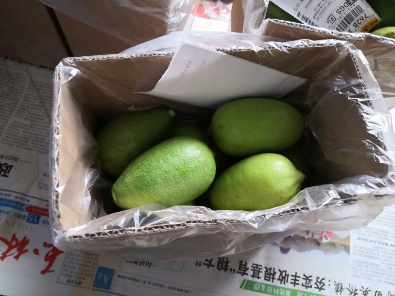 【无籽】海南香水柠檬子弹头新鲜5斤起电商团购欢迎合作
