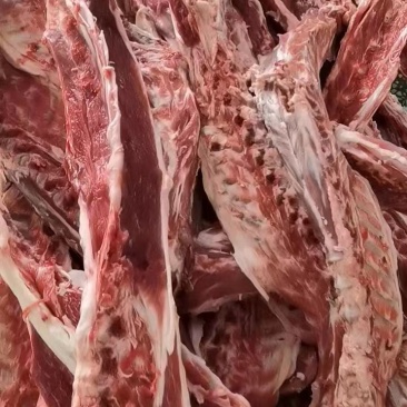 每天大量鲜加肉腿骨，羊蝎子，羊排