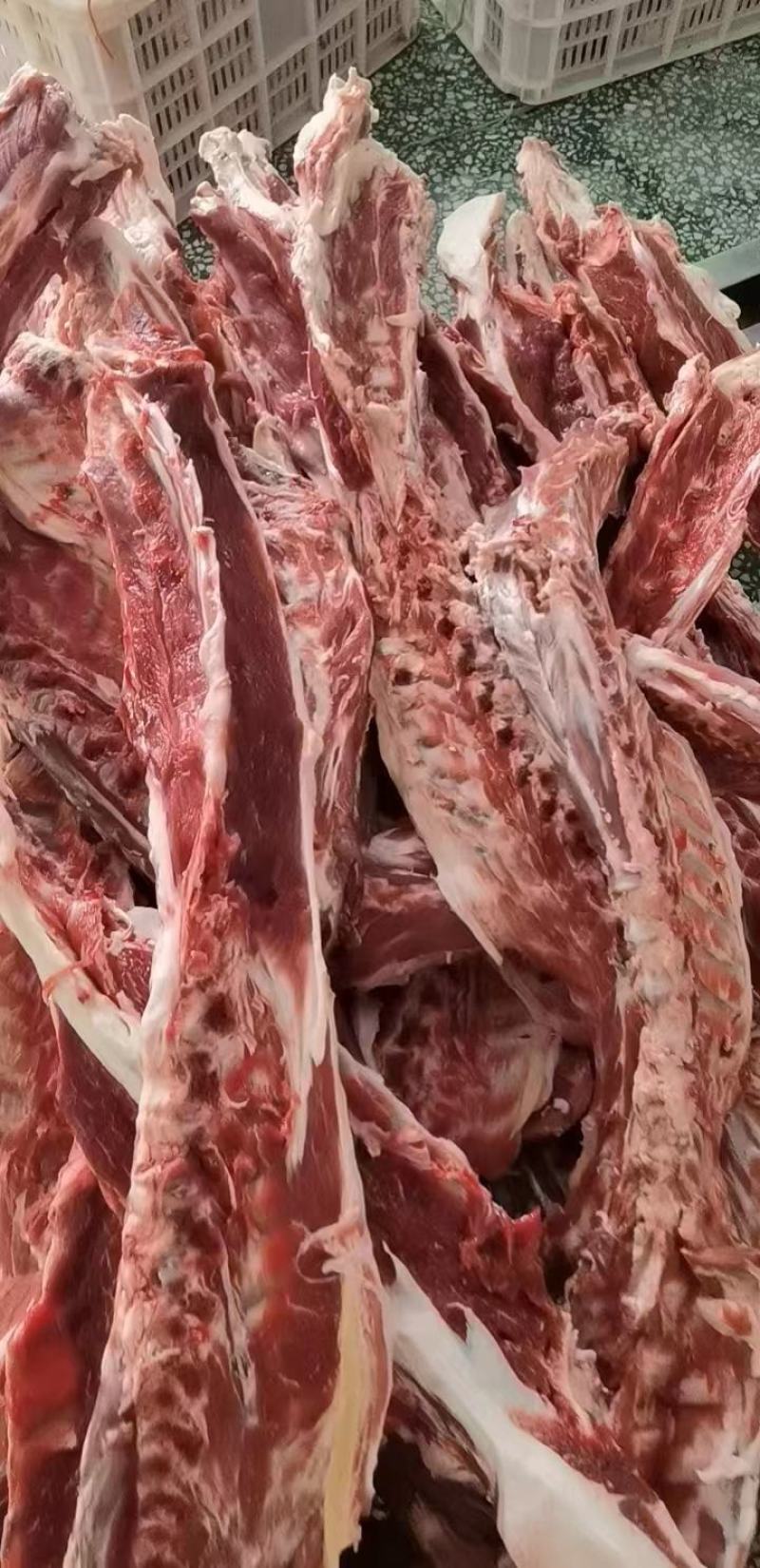 每天大量鲜加肉腿骨，羊蝎子，羊排