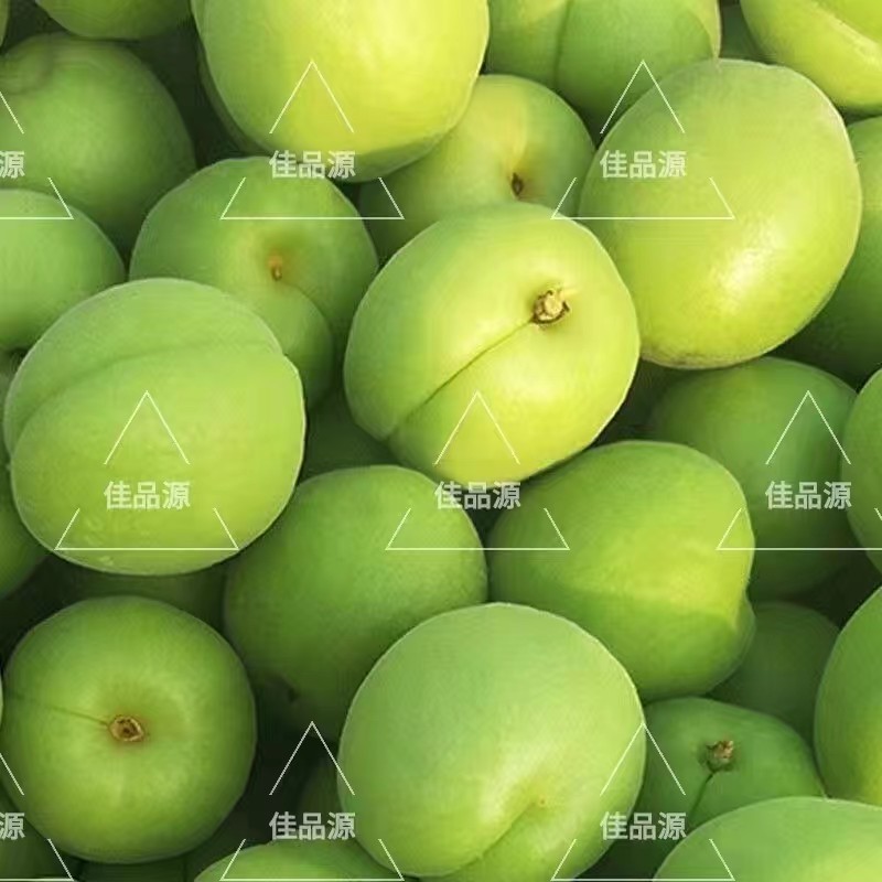 东北青杏现摘现发支持一件代发