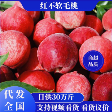 湖北春雪特早红红不软美佳突围桃品种齐全