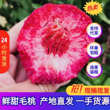 毛桃春雪特早红红不软美佳突围桃产地直发供应全国