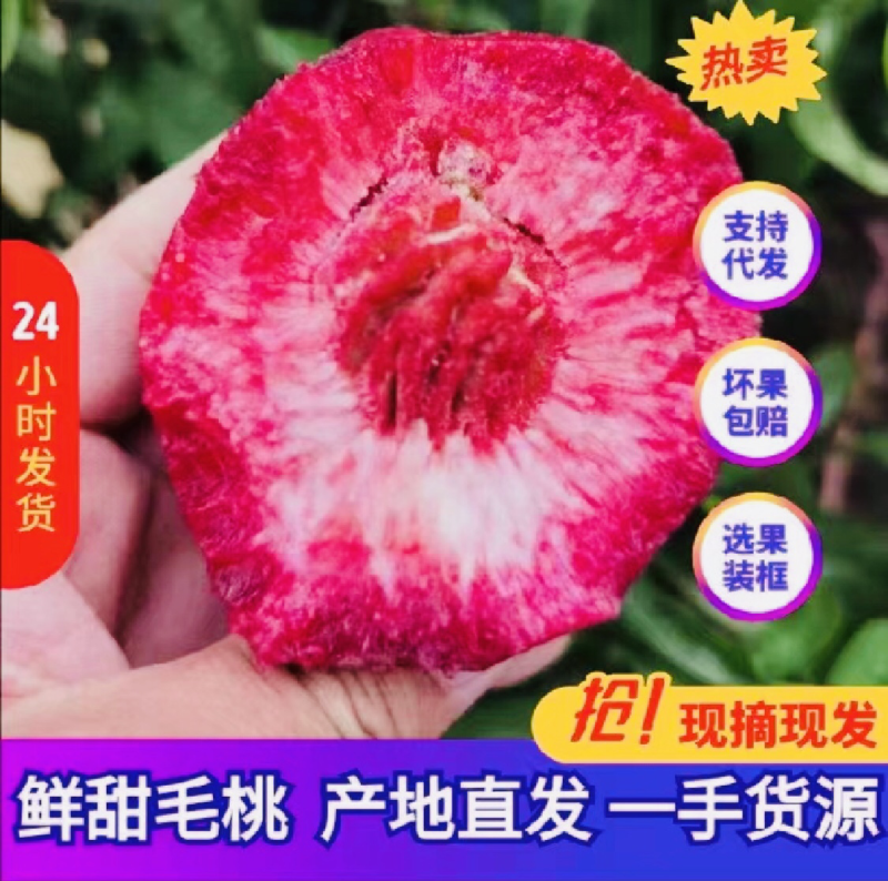 毛桃春雪特早红红不软美佳突围桃产地直发供应全国
